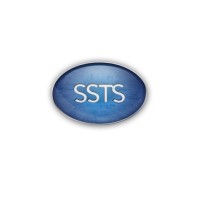 Solid State Technology Solutions logo - Similar company to Kapaji