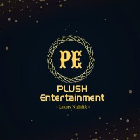 Plush Entertainment logo - Similar company to Shout It Out Media