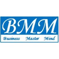 Business Mastermind Advisory Services LLP logo - Similar company to Business Analyst Help
