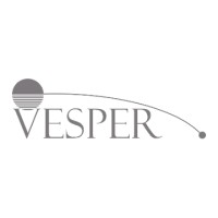 Vesper Group / Security Operations logo - Similar company to Asia Shaheen Security Services Company