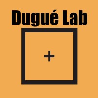 Dugué Lab logo - Similar company to Cog-Sup | Université Paris Cité & Sorbonne Université