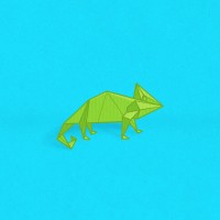 The Social Chameleon