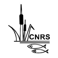 CNRS | Center for Natural Resource Studies logo - Similar company to Greentech Foundation Bangladesh