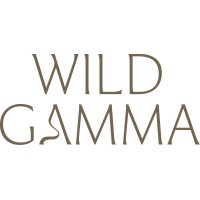 Wild Gamma Film logo - Similar company to Another Robot