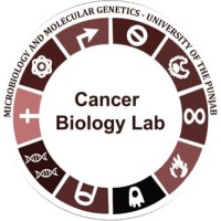 Cancer Biology Lab -IMMG logo - Similar company to Help International Welfare Trust