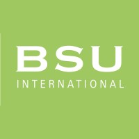 BSU INTERNATIONAL Gesellschaft für Internationale Zusammenarbeit und Entwicklung logo - Similar company to Setteottobre