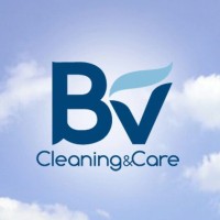 BV Cleaning & Care logo - Similar company to Alavesa De Barnices Sa