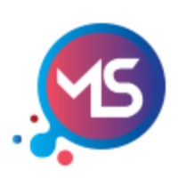 Magnify Solutions logo - Similar company to Techgate