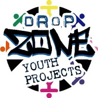 Drop Zone Youth Projects logo - Similar company to Solihull Moors Foundation