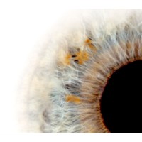 Visionair Oogzorg logo - Similar company to Sizzle