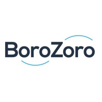 Borozoro Inc. logo - Similar company to Practical Human Resource Solutions