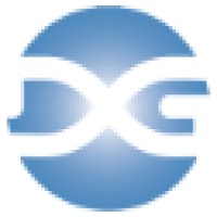 Digital Growth Strategies, Llc