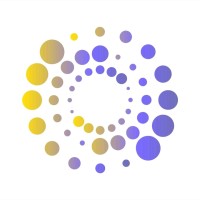 Connvisor Digital logo - Similar company to Levi Media