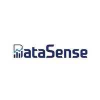 DataSense logo - Similar company to Nextudio
