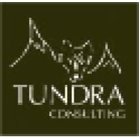 Tundra Consulting logo - Similar company to Wedobyte