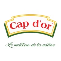 Cap d'or logo - Similar company to E-Kmandi