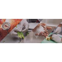 Consultora Em Controle De Qualidade I Segurança Dos Alimentos