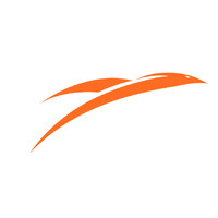 Phoenix Anesthesia Services of Florida, P.A. logo - Similar company to Revolution Lifecycle