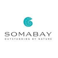 Abu Soma Development Company logo - Similar company to Founders Spaces