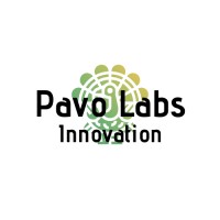 Pavo Labs Innovation logo - Similar company to Forthright Solutions Inc