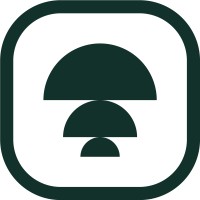 Leysir logo - Similar company to Leysir