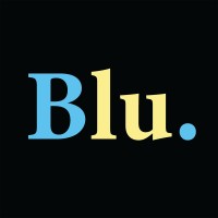 Blusofy logo - Similar company to Blusonet