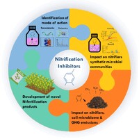 ACTIONr - Research Action Network for Reducing Reactive Nitrogen Losses from Agricultural Ecosystems logo - Similar company to React_Insect