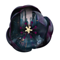 Black Tulip Asset Management