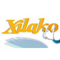 Xilako logo - Similar company to Virtuallywell