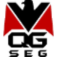 Qgseg Distribuidora