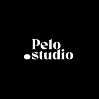 Pelostudio logo - Similar company to Lord