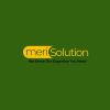 Merisolution logo - Similar company to Bricks Technology