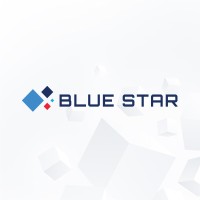 Blue Star logo - Similar company to Fortegic