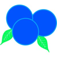 Blueberry Dreams logo - Similar company to Answermedia. Video Marketing.