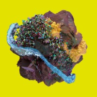 CHARGE - Powering Energy Brands logo - Similar company to Pressure Pros