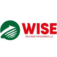 Wise Solutions For Business LLC. logo - Similar company to Appoint Digital Ltd