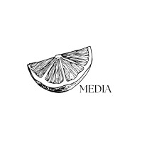 Lime Media LLC logo - Similar company to Vogt Creative