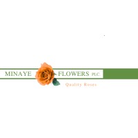Minaye Flowers P.L.C logo - Similar company to Minaye Group