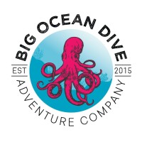 Big Ocean Dive (Outdoor Education) logo - Similar company to Redboot Education