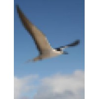 Seabird Enterprises