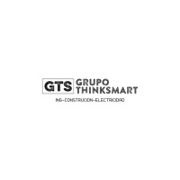 Grupo Thinksmart logo - Similar company to Neotric Power