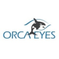 Orca Eyes