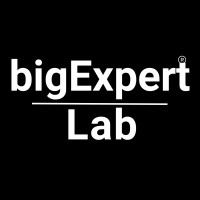 BIG EXPERT LAB- Learn from Top Industry Experts logo - Similar company to Avp Tech Group