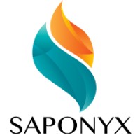 Saponyx Technologies Pvt. Ltd. logo - Similar company to Etecnest