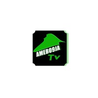 Amebo9ja Tv logo - Similar company to Instablog