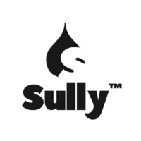 Sully Innovations Inc. logo - Similar company to Atlas - Executive Search And Recruitment