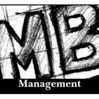 MB Management logo - Similar company to Advar Onlus