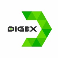 DIGEX LLC logo - Similar company to Digex