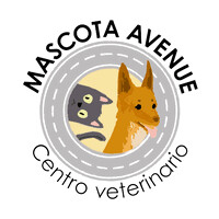 Mascota Avenue SL logo - Similar company to Doudou Pet Care