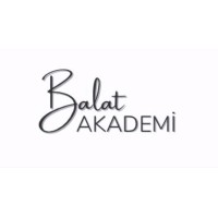 Balat Akademi logo - Similar company to Brainuplab